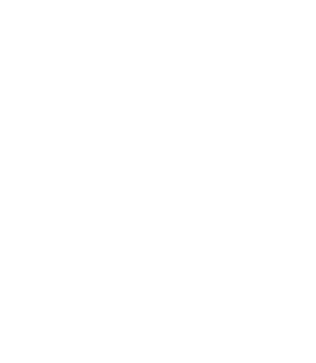 Highly secure Public and Private Cloud solutions to streamline and optimise the creation and distribution of content.