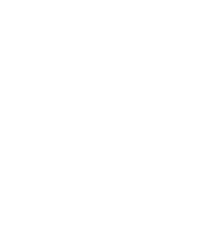 Cyber Security for Retail.